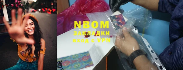 ГАЛЛЮЦИНОГЕННЫЕ ГРИБЫ Аркадак