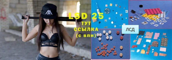 ГАЛЛЮЦИНОГЕННЫЕ ГРИБЫ Аркадак