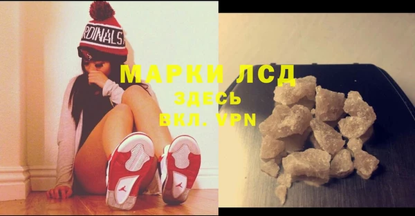 ГАЛЛЮЦИНОГЕННЫЕ ГРИБЫ Аркадак