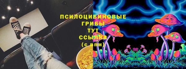 ГАЛЛЮЦИНОГЕННЫЕ ГРИБЫ Аркадак
