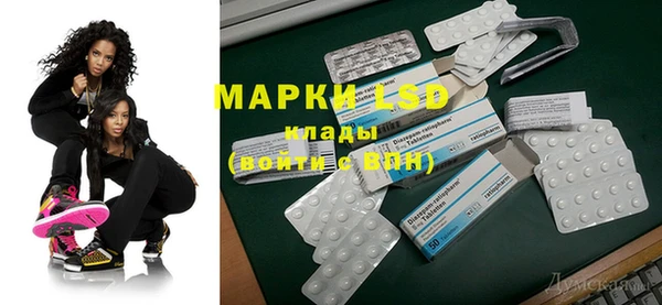 ГАЛЛЮЦИНОГЕННЫЕ ГРИБЫ Аркадак