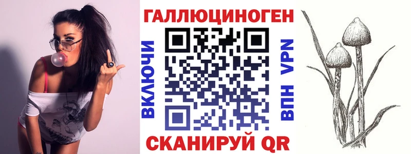 Галлюциногенные грибы Psilocybine cubensis  Гаврилов-Ям 